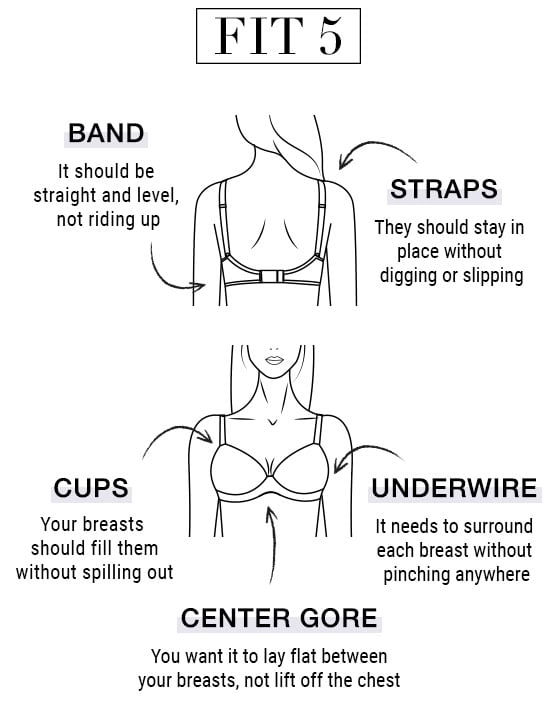 Bra Sizing How To Measure Bra Size Bare Necessities