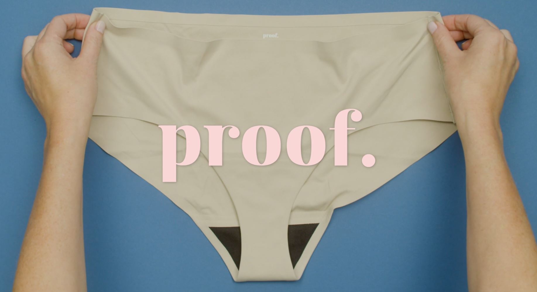 Proof Period & Leak Proof High-Waist Smoothing Brief & Reviews
